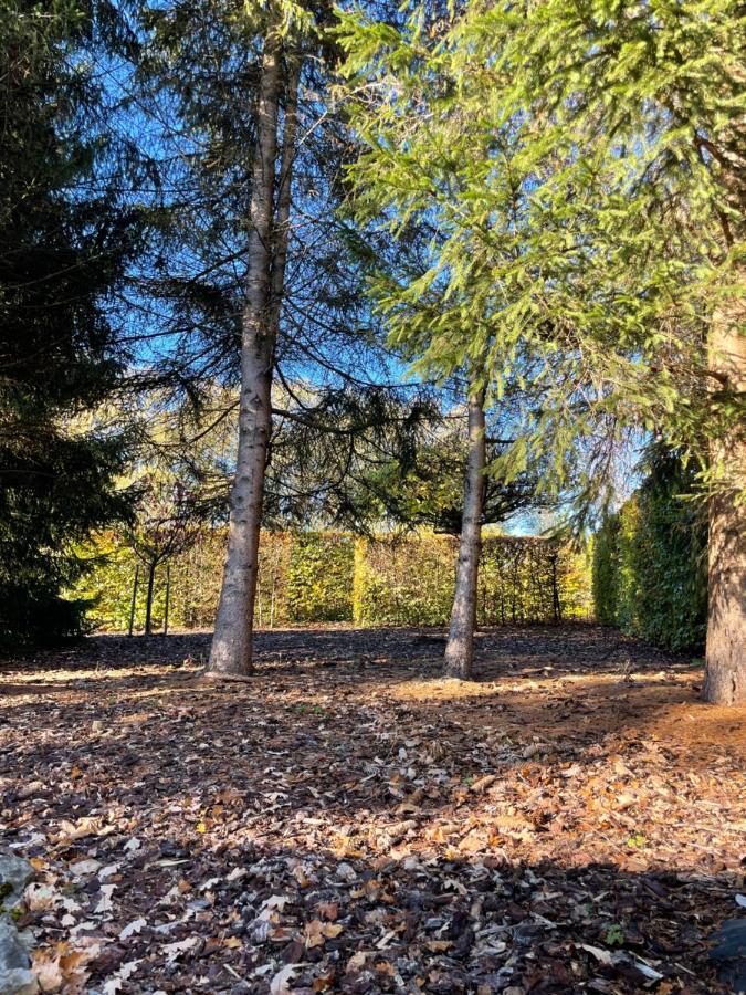 Chalet Du Val 53 Vesin Dış mekan fotoğraf